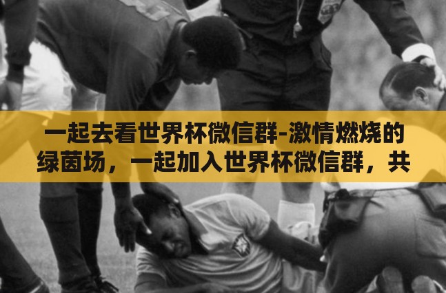 一起去看世界杯微信群-激情燃烧的绿茵场,一起加入世界杯微信群,共享足球盛宴 一起去看世界杯微信群-激情燃烧的绿茵场,一起加入世界杯微信群,共享足球盛宴