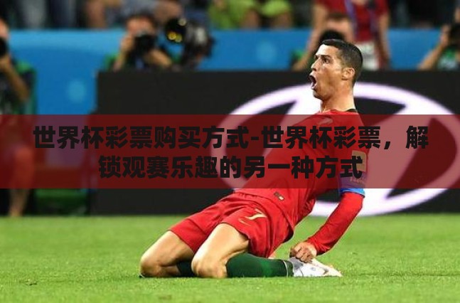 世界杯彩票购买方式-世界杯彩票,解锁观赛乐趣的另一种方式 世界杯彩票购买方式-世界杯彩票,解锁观赛乐趣的另一种方式