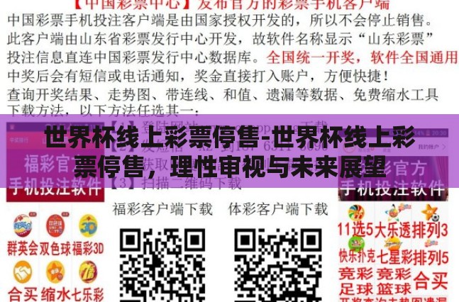 世界杯线上彩票停售-世界杯线上彩票停售，理性审视与未来展望