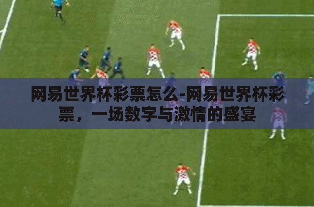 网易世界杯彩票怎么-网易世界杯彩票，一场数字与激情的盛宴