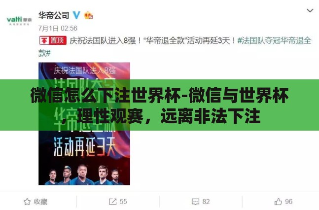 微信怎么下注世界杯-微信与世界杯，理性观赛，远离非法下注