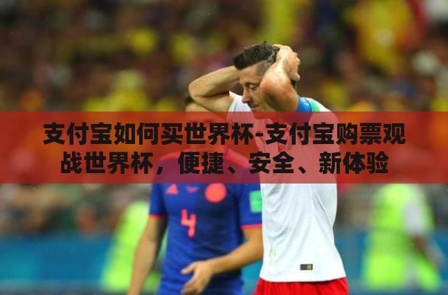 支付宝如何买世界杯-支付宝购票观战世界杯，便捷、安全、新体验