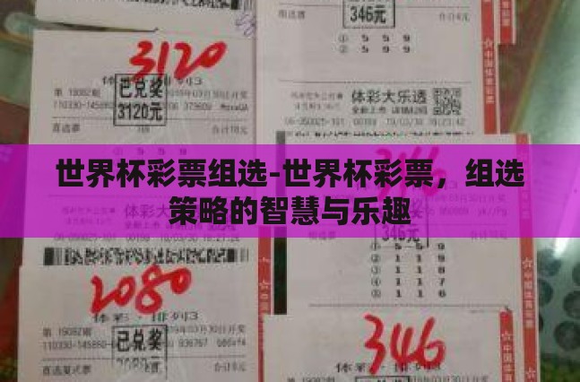 世界杯彩票组选-世界杯彩票，组选策略的智慧与乐趣
