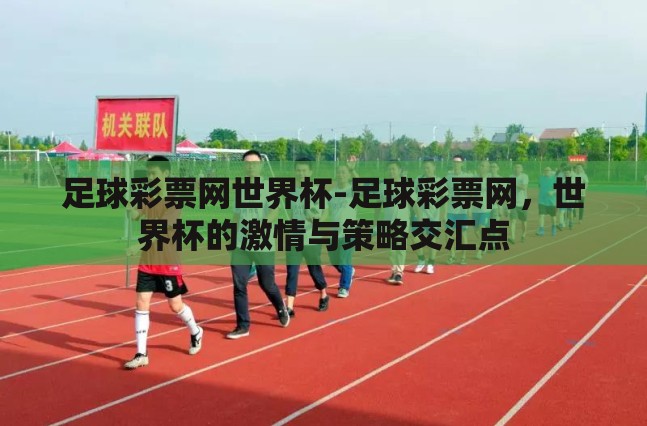 足球彩票网世界杯-足球彩票网,世界杯的激情与策略交汇点 足球彩票网世界杯-足球彩票网,世界杯的激情与策略交汇点