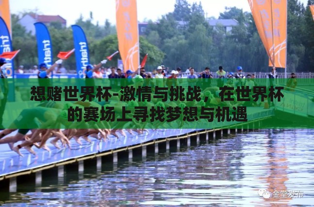 想赌世界杯-激情与挑战,在世界杯的赛场上寻找梦想与机遇 想赌世界杯-激情与挑战,在世界杯的赛场上寻找梦想与机遇