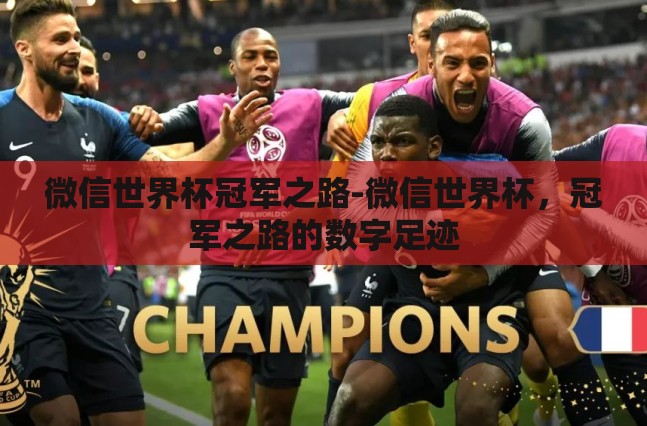 微信世界杯冠军之路-微信世界杯，冠军之路的数字足迹