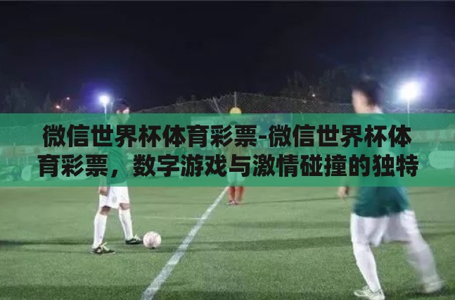 微信世界杯体育彩票-微信世界杯体育彩票，数字游戏与激情碰撞的独特体验