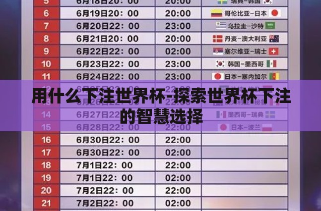 用什么下注世界杯-探索世界杯下注的智慧选择 用什么下注世界杯-探索世界杯下注的智慧选择