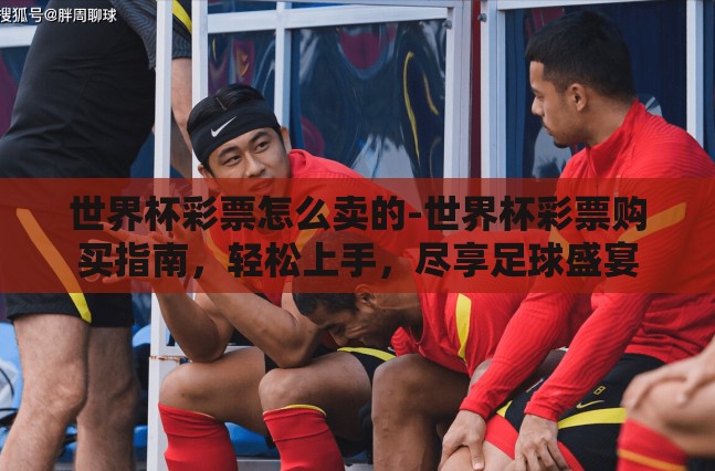 世界杯彩票怎么卖的-世界杯彩票购买指南，轻松上手，尽享足球盛宴