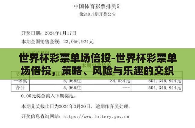 世界杯彩票单场倍投-世界杯彩票单场倍投,策略、风险与乐趣的交织 世界杯彩票单场倍投-世界杯彩票单场倍投,策略、风险与乐趣的交织