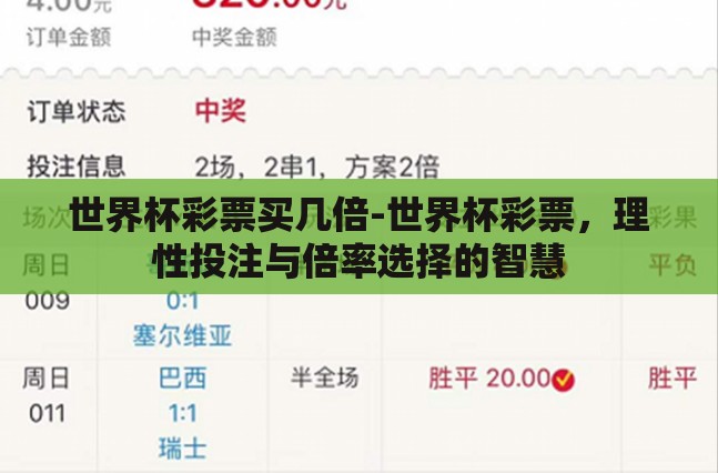 世界杯彩票买几倍-世界杯彩票，理性投注与倍率选择的智慧