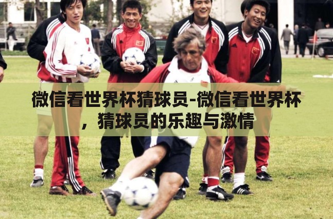微信看世界杯猜球员-微信看世界杯，猜球员的乐趣与激情