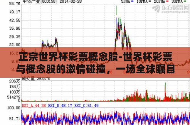 正宗世界杯彩票概念股-世界杯彩票与概念股的激情碰撞，一场全球瞩目的经济盛宴