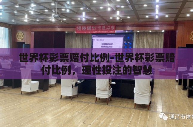 世界杯彩票赔付比例-世界杯彩票赔付比例，理性投注的智慧