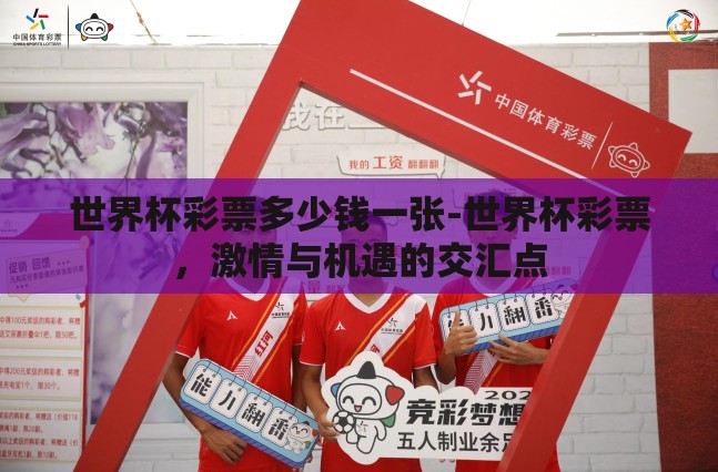 世界杯彩票多少钱一张-世界杯彩票，激情与机遇的交汇点