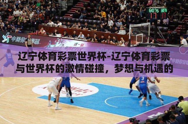 辽宁体育彩票世界杯-辽宁体育彩票与世界杯的激情碰撞，梦想与机遇的交响曲