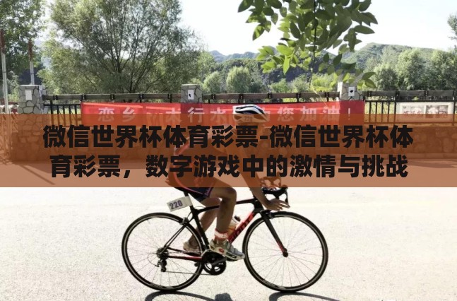 微信世界杯体育彩票-微信世界杯体育彩票，数字游戏中的激情与挑战