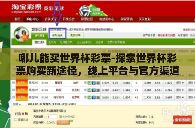 哪儿能买世界杯彩票-探索世界杯彩票购买新途径，线上平台与官方渠道的便捷选择