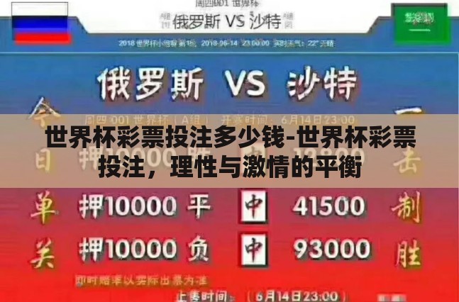 世界杯彩票投注多少钱-世界杯彩票投注，理性与激情的平衡