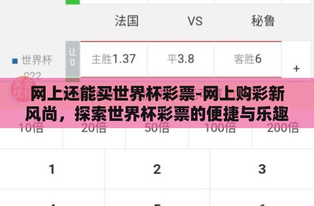 网上还能买世界杯彩票-网上购彩新风尚，探索世界杯彩票的便捷与乐趣
