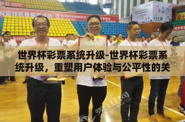 世界杯彩票系统升级-世界杯彩票系统升级，重塑用户体验与公平性的关键举措