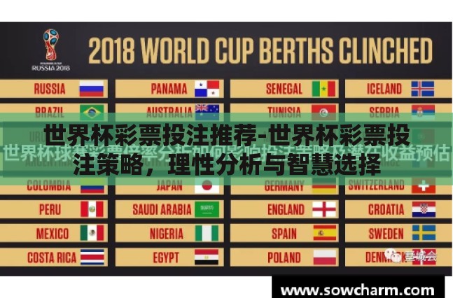 世界杯彩票投注推荐-世界杯彩票投注策略，理性分析与智慧选择
