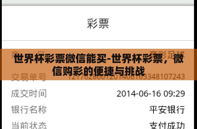 世界杯彩票微信能买-世界杯彩票，微信购彩的便捷与挑战
