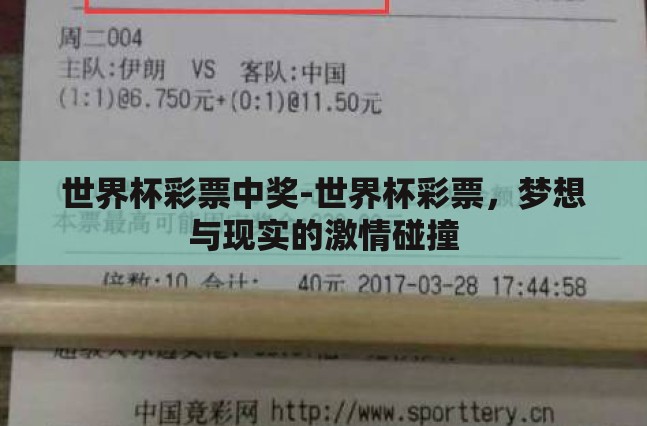 世界杯彩票中奖-世界杯彩票，梦想与现实的激情碰撞
