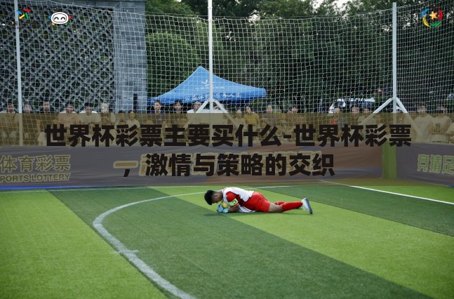 世界杯彩票主要买什么-世界杯彩票，激情与策略的交织