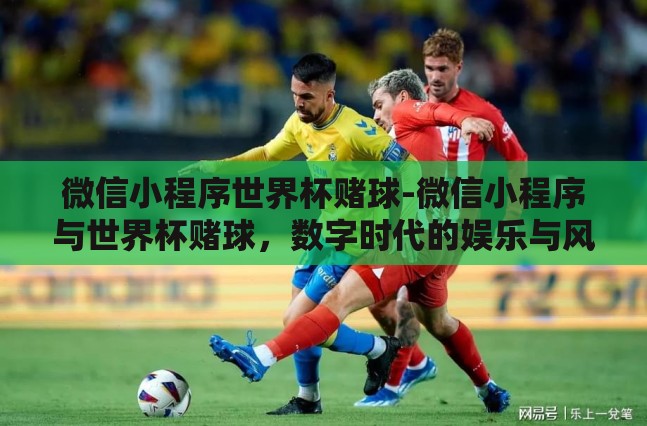 微信小程序世界杯赌球-微信小程序与世界杯赌球，数字时代的娱乐与风险交织