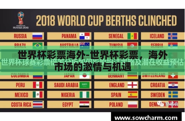 世界杯彩票海外-世界杯彩票，海外市场的激情与机遇