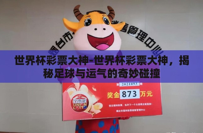 世界杯彩票大神-世界杯彩票大神，揭秘足球与运气的奇妙碰撞
