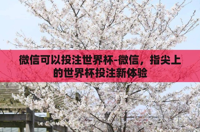 微信可以投注世界杯-微信,指尖上的世界杯投注新体验 微信可以投注世界杯-微信,指尖上的世界杯投注新体验