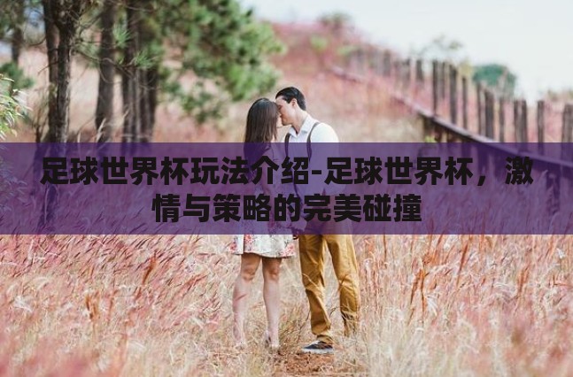 足球世界杯玩法介绍-足球世界杯，激情与策略的完美碰撞