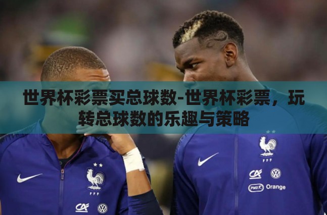 世界杯彩票买总球数-世界杯彩票，玩转总球数的乐趣与策略