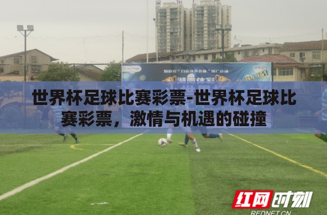 世界杯足球比赛彩票-世界杯足球比赛彩票，激情与机遇的碰撞